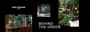 Behind the green web banner
