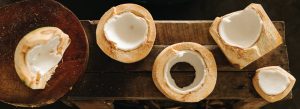 coconut-web-banner