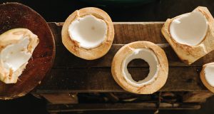 coconut-mobile-banner